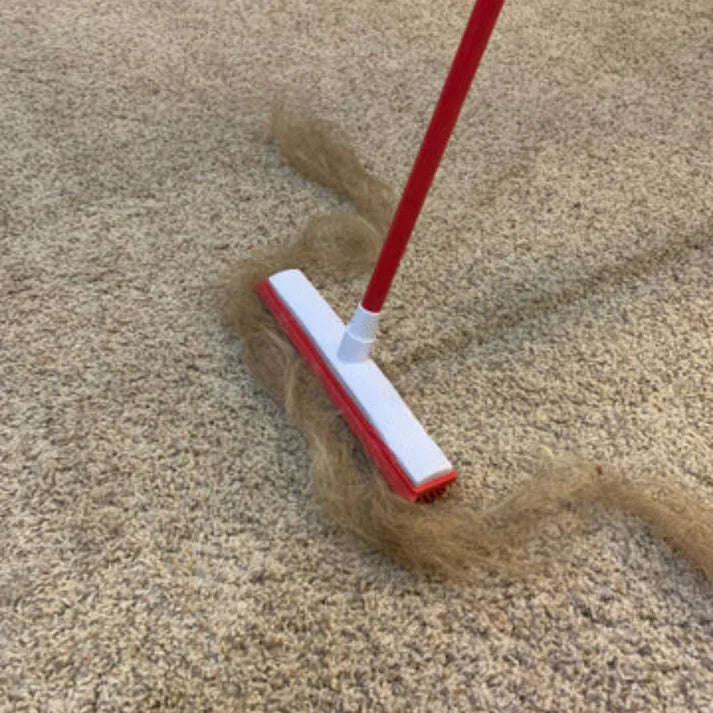 Hair Removal Broom