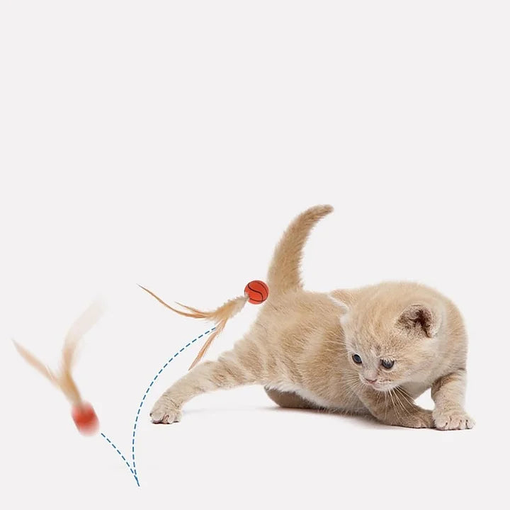 Cat Feather Ball Toys