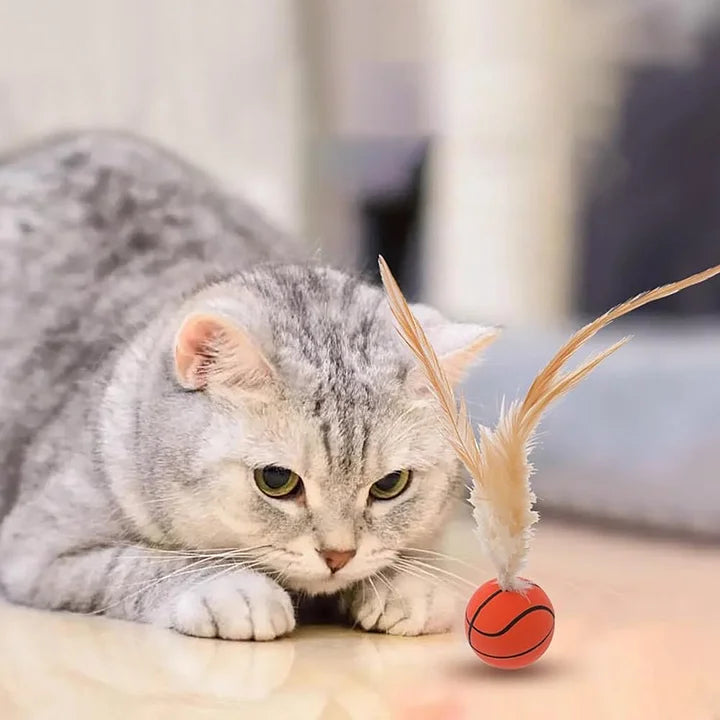 Cat Feather Ball Toys