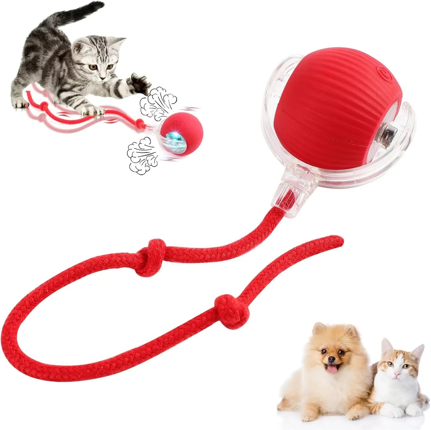 Pet Smart Ball Toy