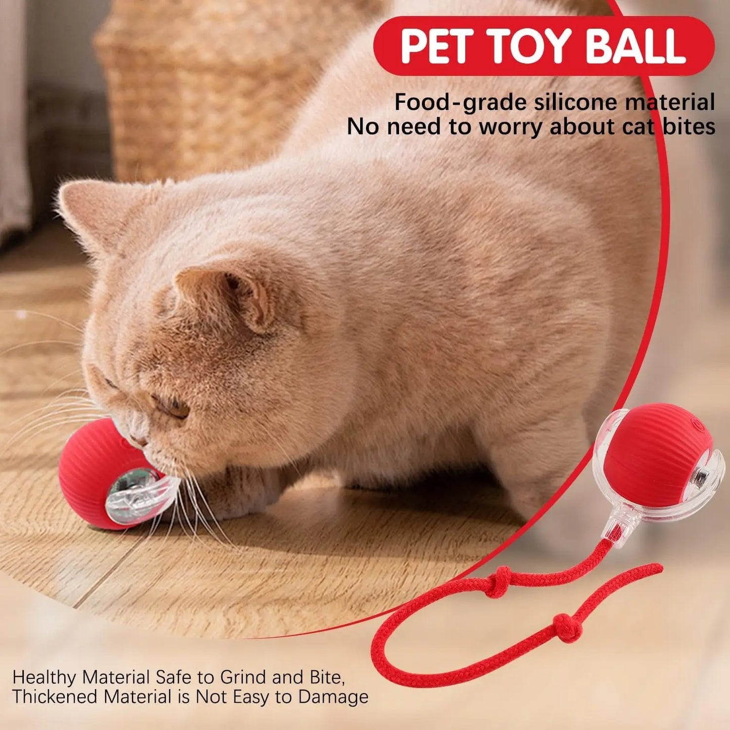 Pet Smart Ball Toy