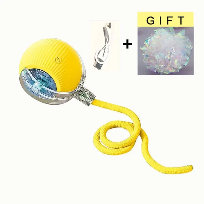 Pet Smart Ball Toy