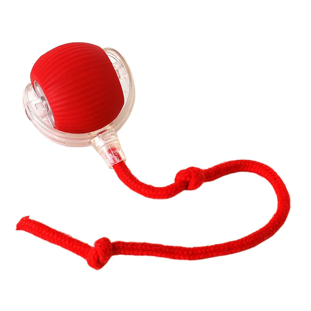 Pet Smart Ball Toy